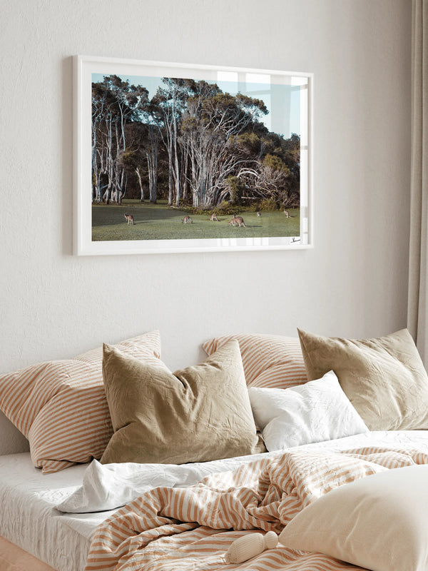 Kangaroos 01 (Little Bay Beach, NSW) - Wall Art Print