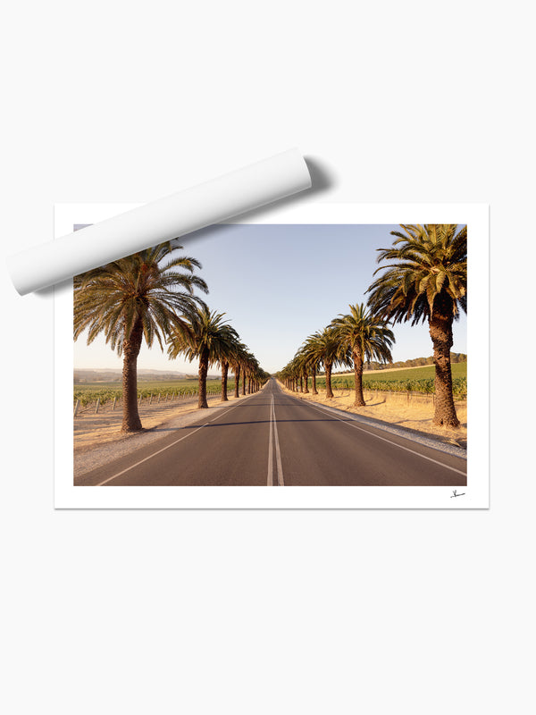 Seppeltsfield Road 01 – Barossa Valley Wall Art Print