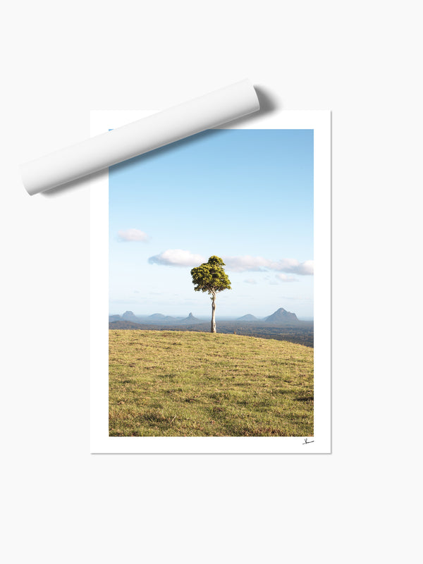 One Tree Hill 02 - Glass House Mountains Wall Art Print