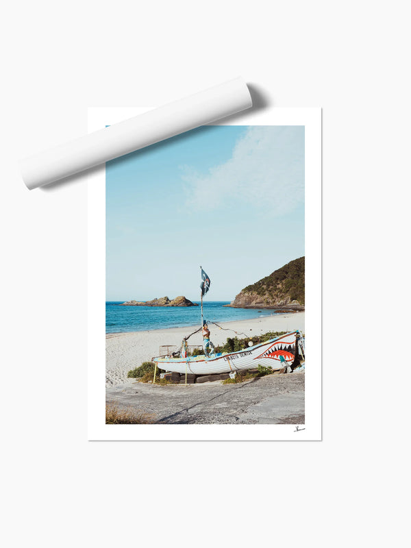 Seal Rocks 02 - Wall Art Print
