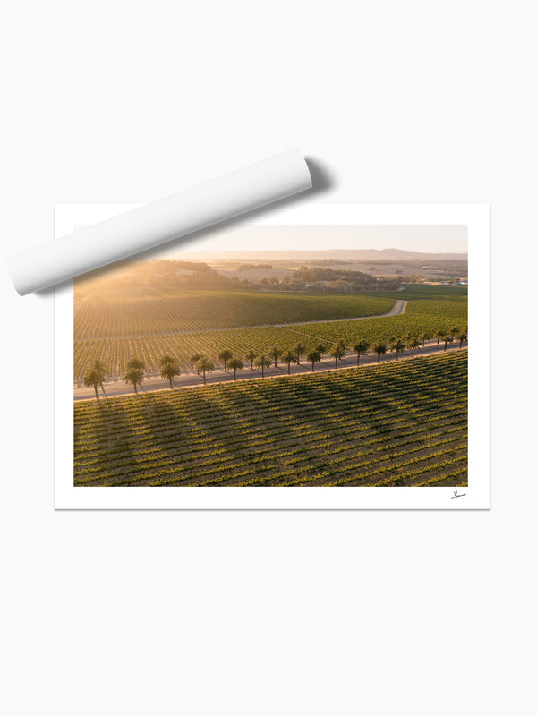 Barossa Valley Sunrise 03 – South Australia Wall Art Print