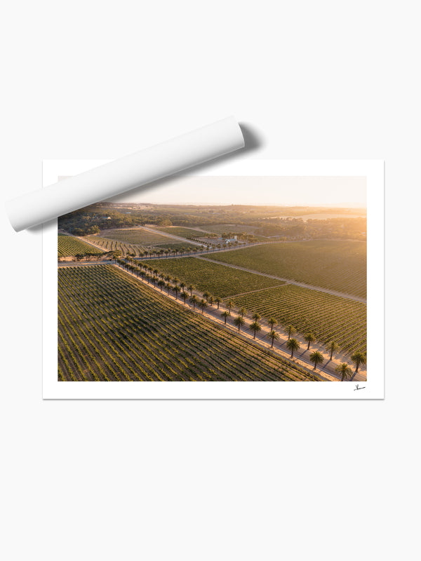 Barossa Valley Sunrise 02 – South Australia Wall Art Print