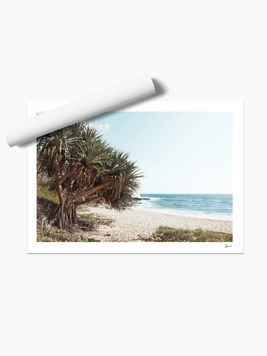 Angourie Point Beach - Wall Art Print