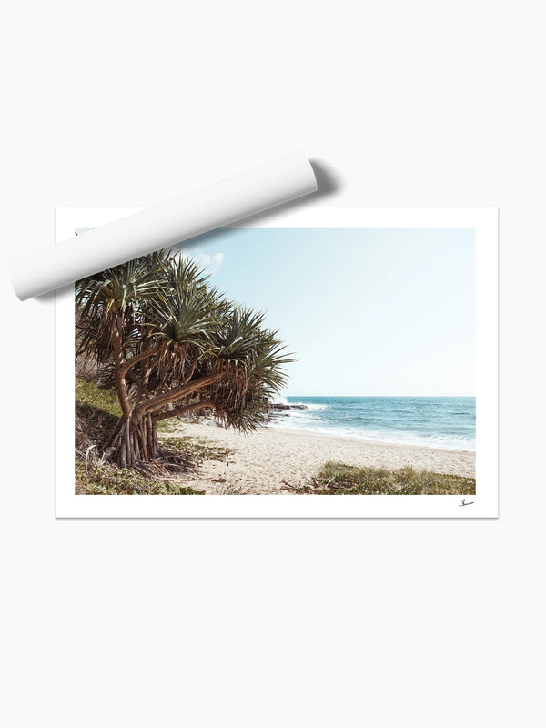 Angourie Point Beach - Wall Art Print