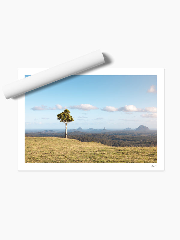 One Tree Hill 01 - Glass House Mountains Wall Art Print
