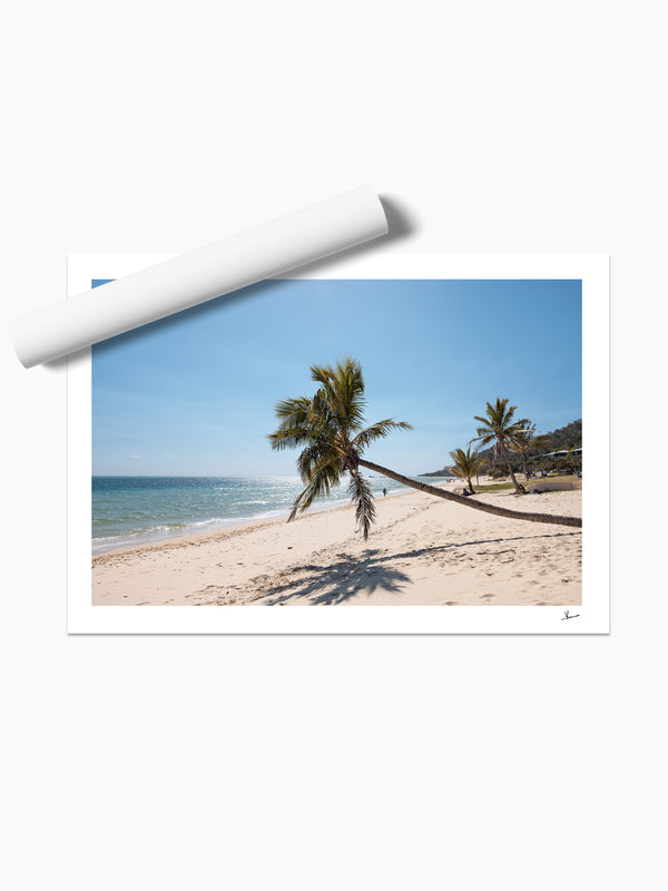 Tanga Leaning Palm - Moreton Island Wall Art Print