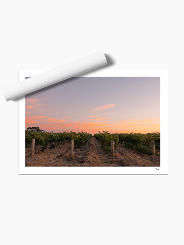 Barossa Valley First Light – South Australia Wall Art Print