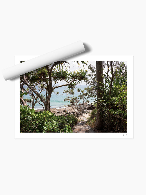 Down Pandanus Lane – Noosa National Park Wall Art Print