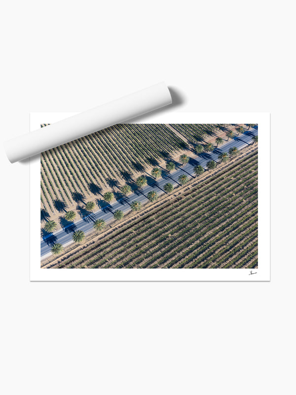 Seppeltsfield Road 03 – Barossa Valley Wall Art Print