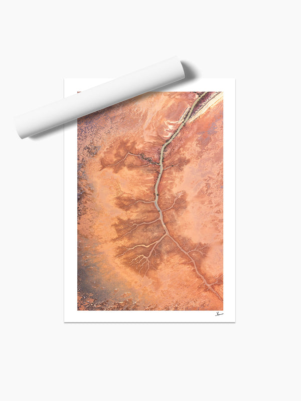 Desert Spine - Limited Edition — unframed wall art print · Australia Unseen