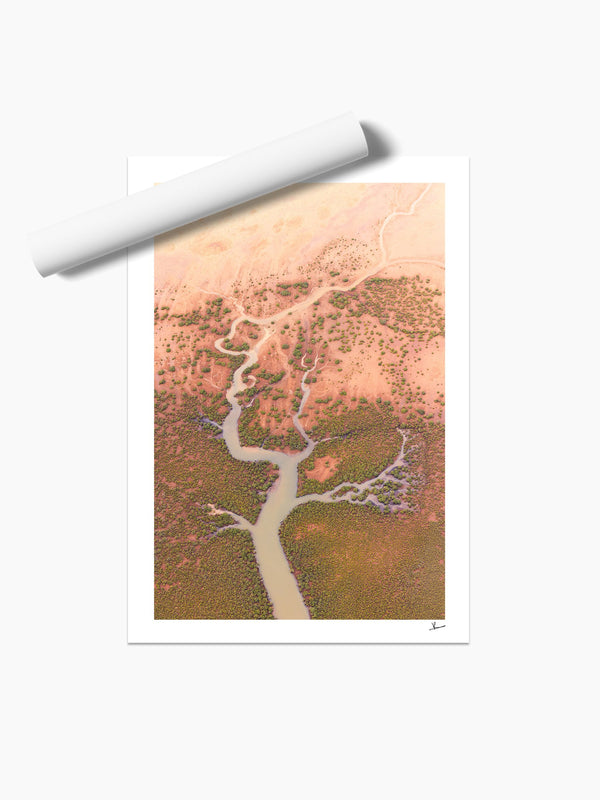 Mangrove Roots — unframed wall art print · Australia Unseen