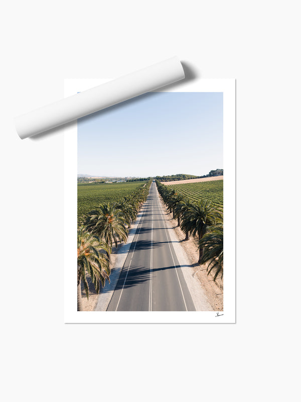 Seppeltsfield Road 02 – Barossa Valley Wall Art Print