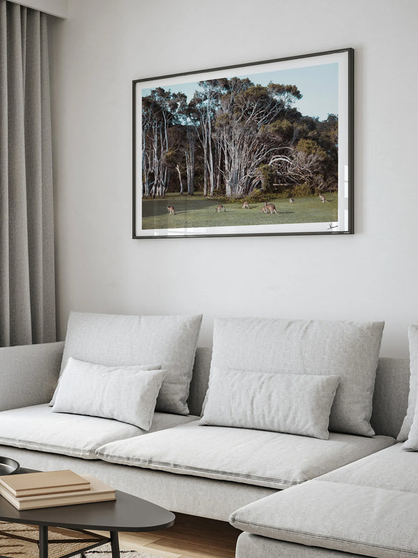 Kangaroos 01 (Little Bay Beach, NSW) - Wall Art Print