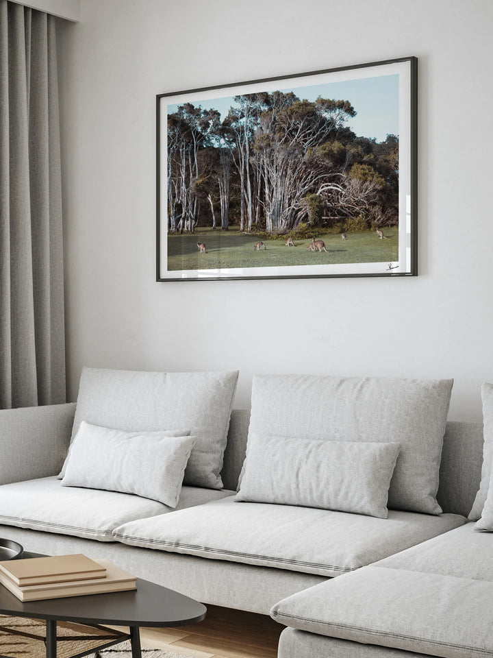 Kangaroos 01 (Little Bay Beach, NSW) - Wall Art Print