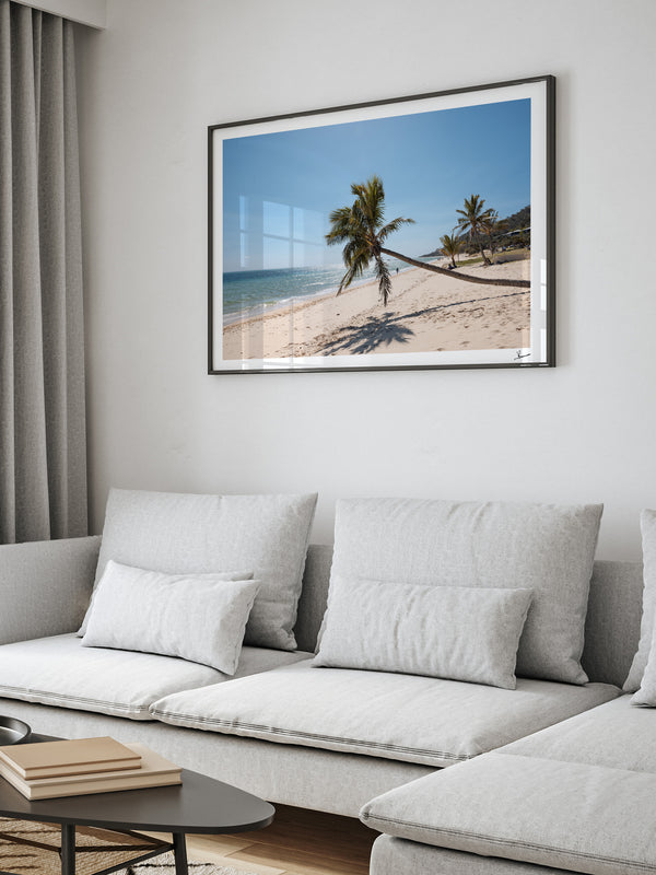 Tanga Leaning Palm - Moreton Island Wall Art Print
