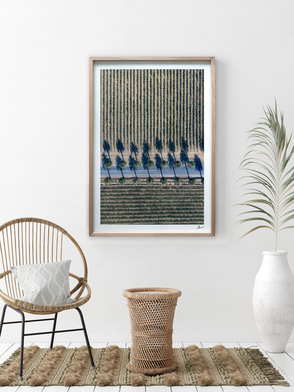 Seppeltsfield Road 04 – Barossa Valley Wall Art Print