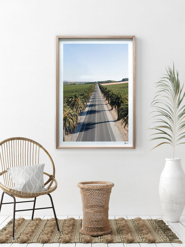 Seppeltsfield Road 02 – Barossa Valley Wall Art Print