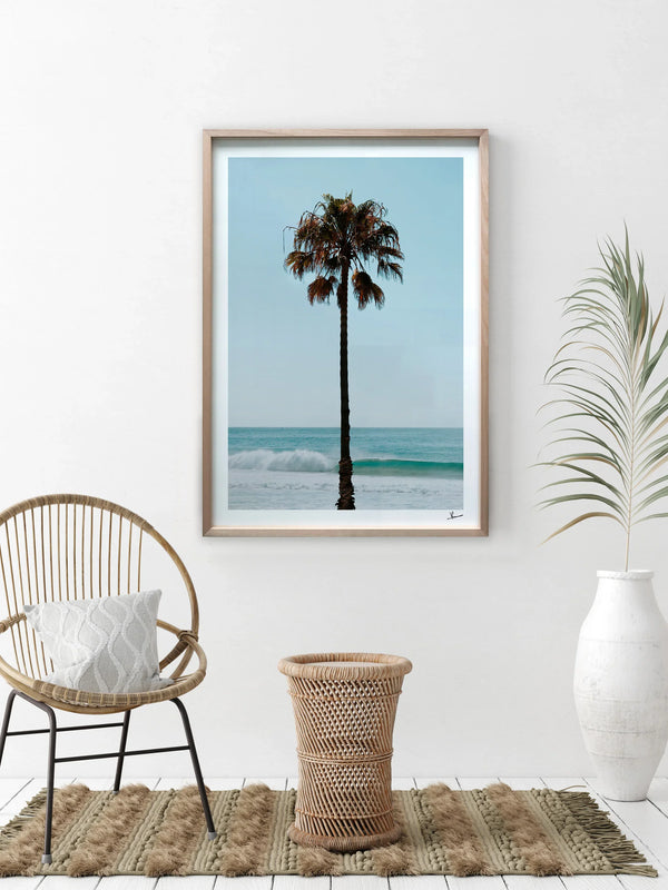 Palm Tree 01 (Whale Beach) - Wall Art Print