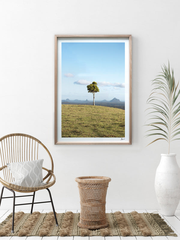 One Tree Hill 02 - Glass House Mountains Wall Art Print