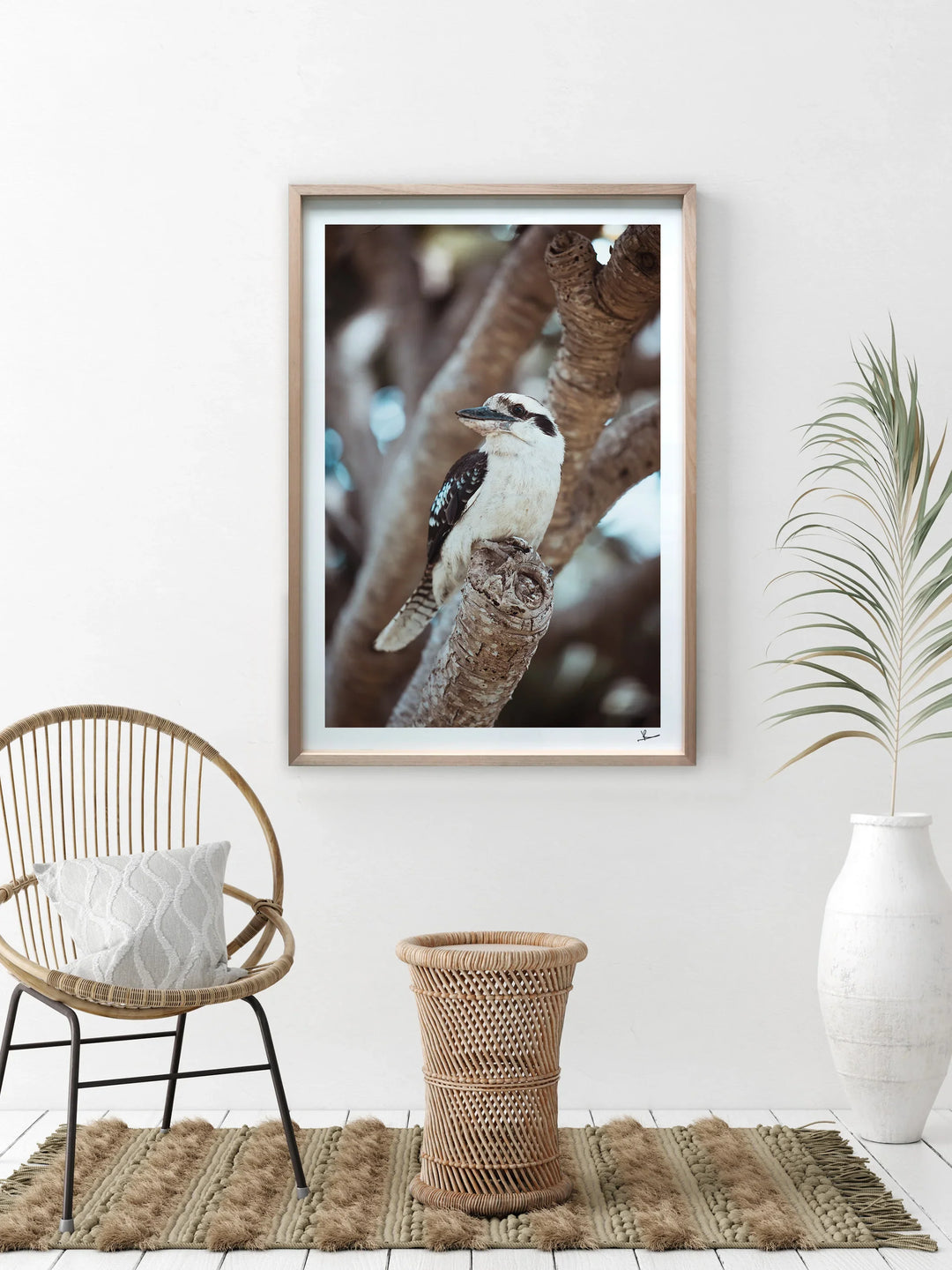 Kookaburra 02 - Wildlife Wall Art Print