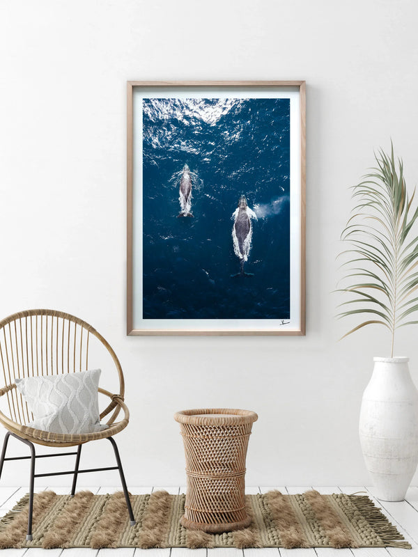 Whales 01 (Maroubra) - Wall Art Print