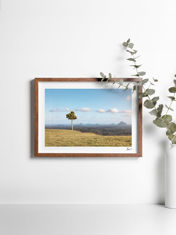 One Tree Hill 01 - Glass House Mountains Wall Art Print