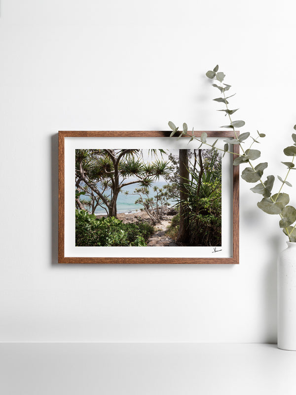 Down Pandanus Lane – Noosa National Park Wall Art Print