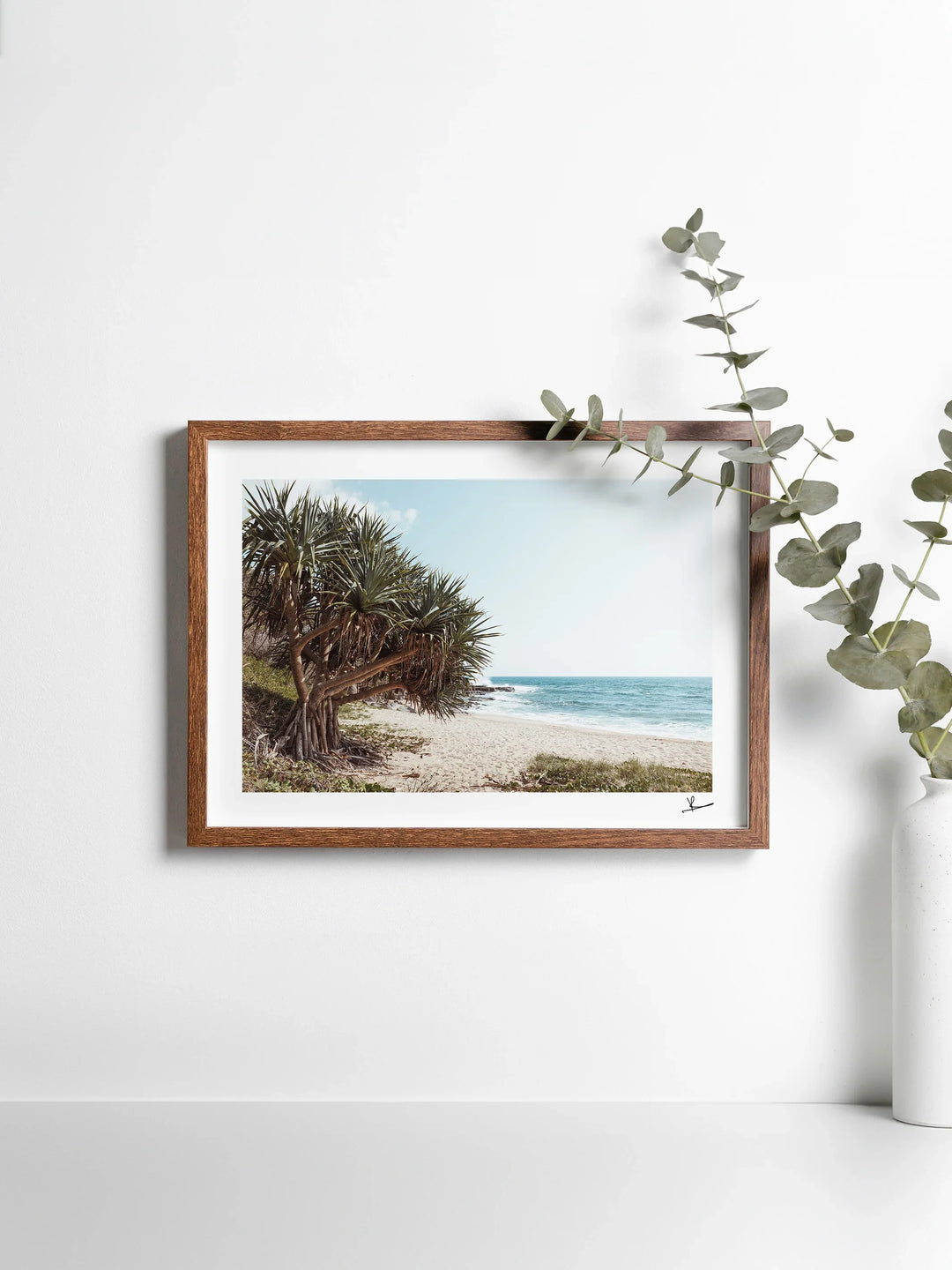 Angourie Point Beach - Wall Art Print