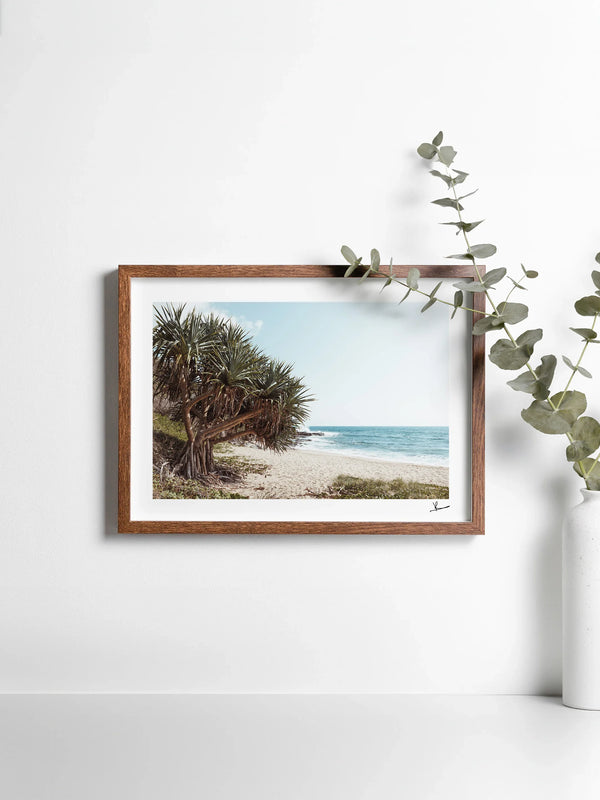 Angourie Point Beach - Wall Art Print