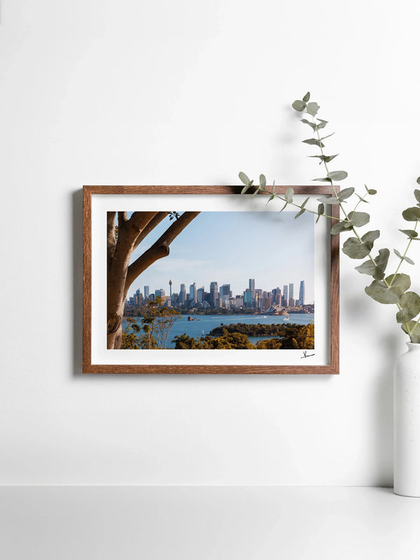 Taronga 01 - Wall Art Print