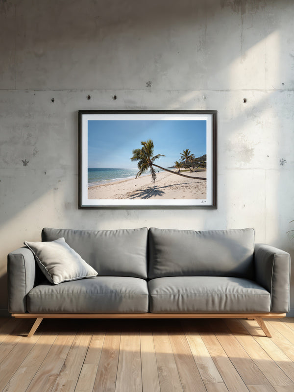 Tanga Leaning Palm - Moreton Island Wall Art Print