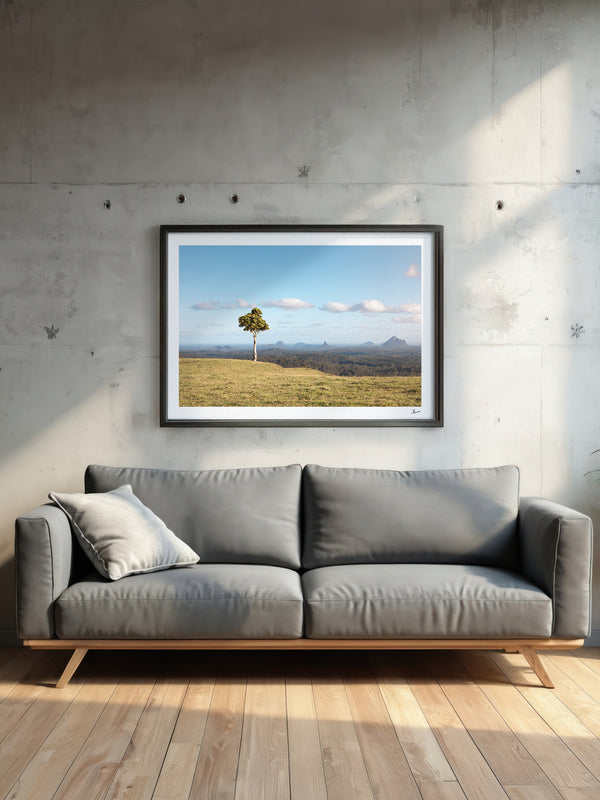 One Tree Hill 01 - Glass House Mountains Wall Art Print