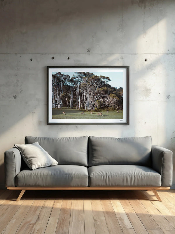 Kangaroos 01 (Little Bay Beach, NSW) - Wall Art Print