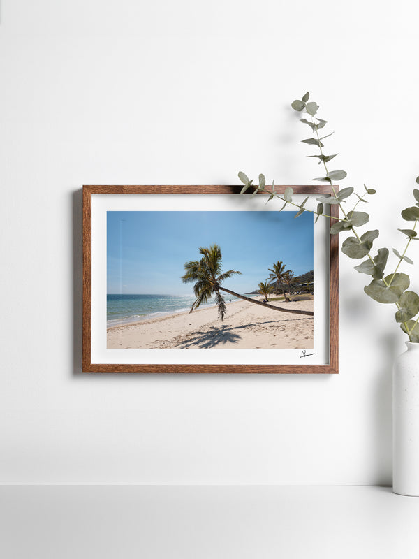 Tanga Leaning Palm - Moreton Island Wall Art Print