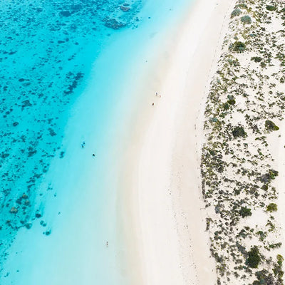 New Collection: Ningaloo Reef