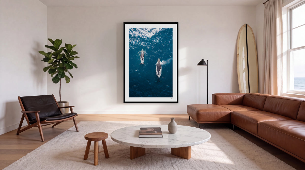 Whales 01 - Sydney Wall Art Print