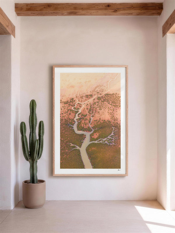 Mangrove Roots — framed wall art print styled in a room · Australia Unseen