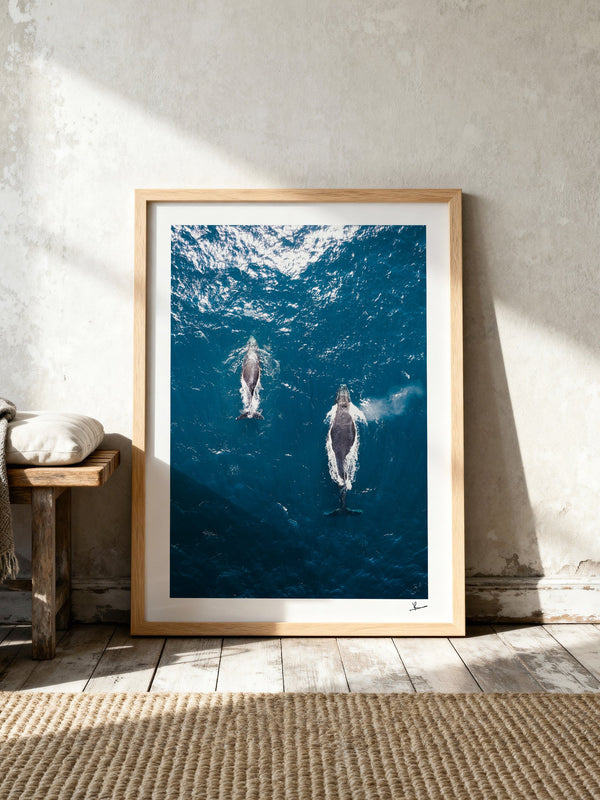 Whales 01 - Sydney — framed wall art print styled in a room · Australia Unseen