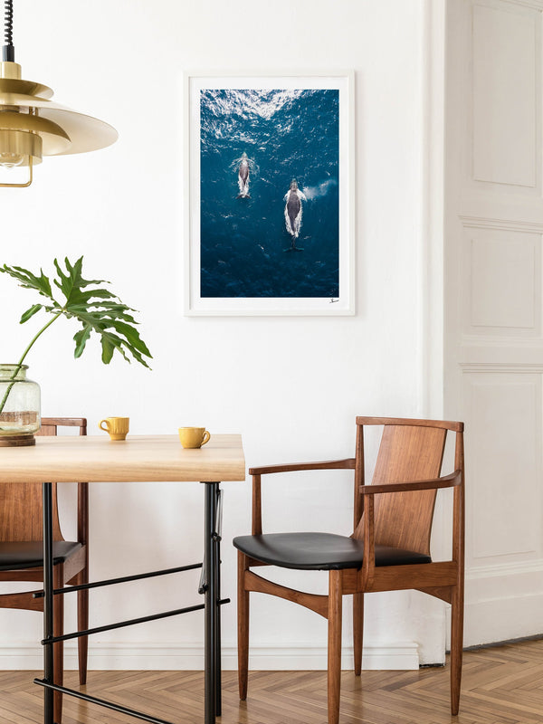 Whales 01 - Sydney — framed wall art print styled in a room · Australia Unseen