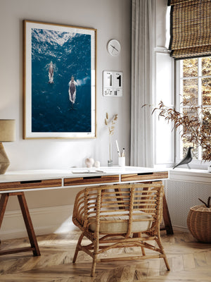 Whales 01 - Sydney — framed wall art print styled in a room · Australia Unseen