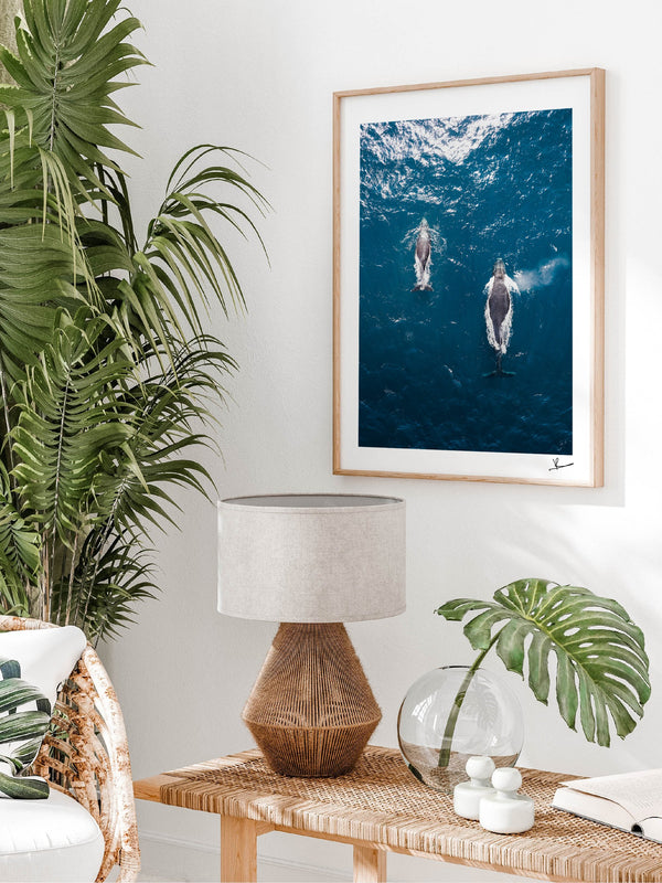 Whales 01 - Sydney — framed wall art print styled in a room · Australia Unseen
