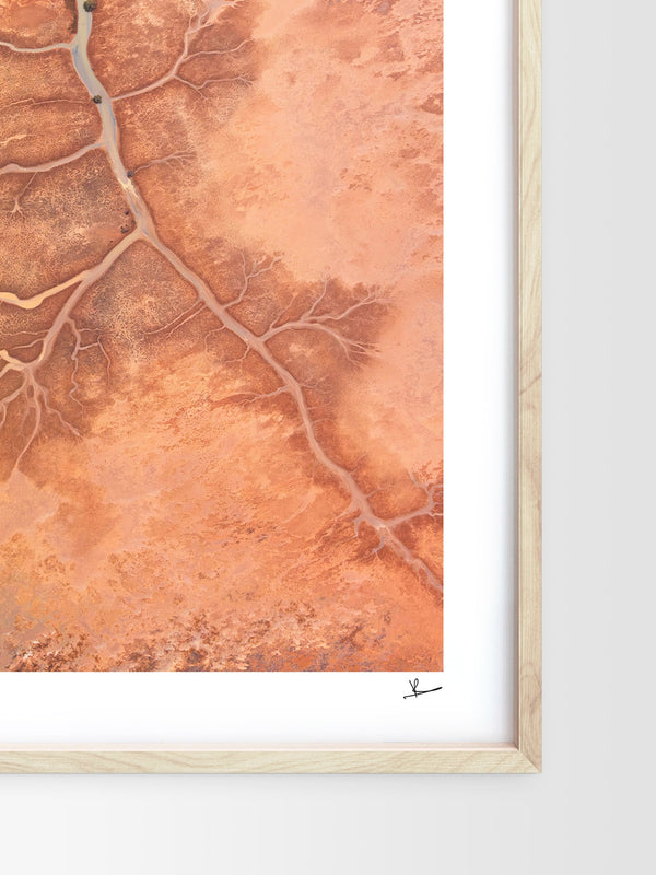 Desert Spine - Limited Edition — framed wall art print styled in a room · Australia Unseen