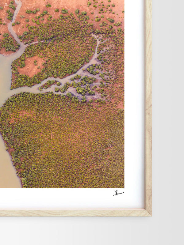 Mangrove Roots — framed wall art print styled in a room · Australia Unseen