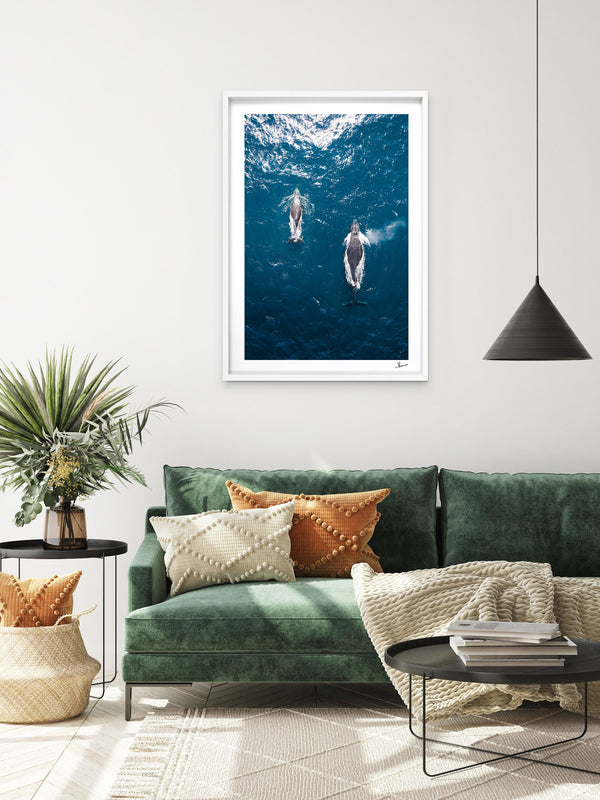 Whales 01 - Sydney — framed wall art print styled in a room · Australia Unseen