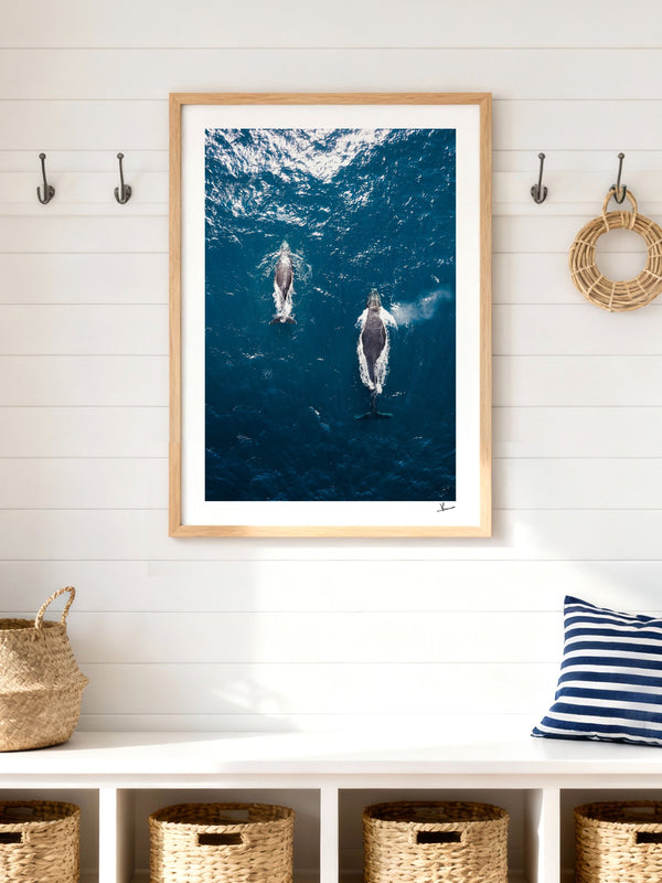 Whales 01 - Sydney — framed wall art print styled in a room · Australia Unseen