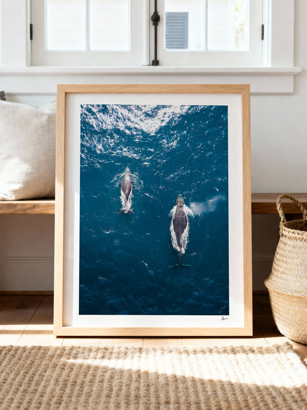 Whales 01 - Sydney — framed wall art print styled in a room · Australia Unseen