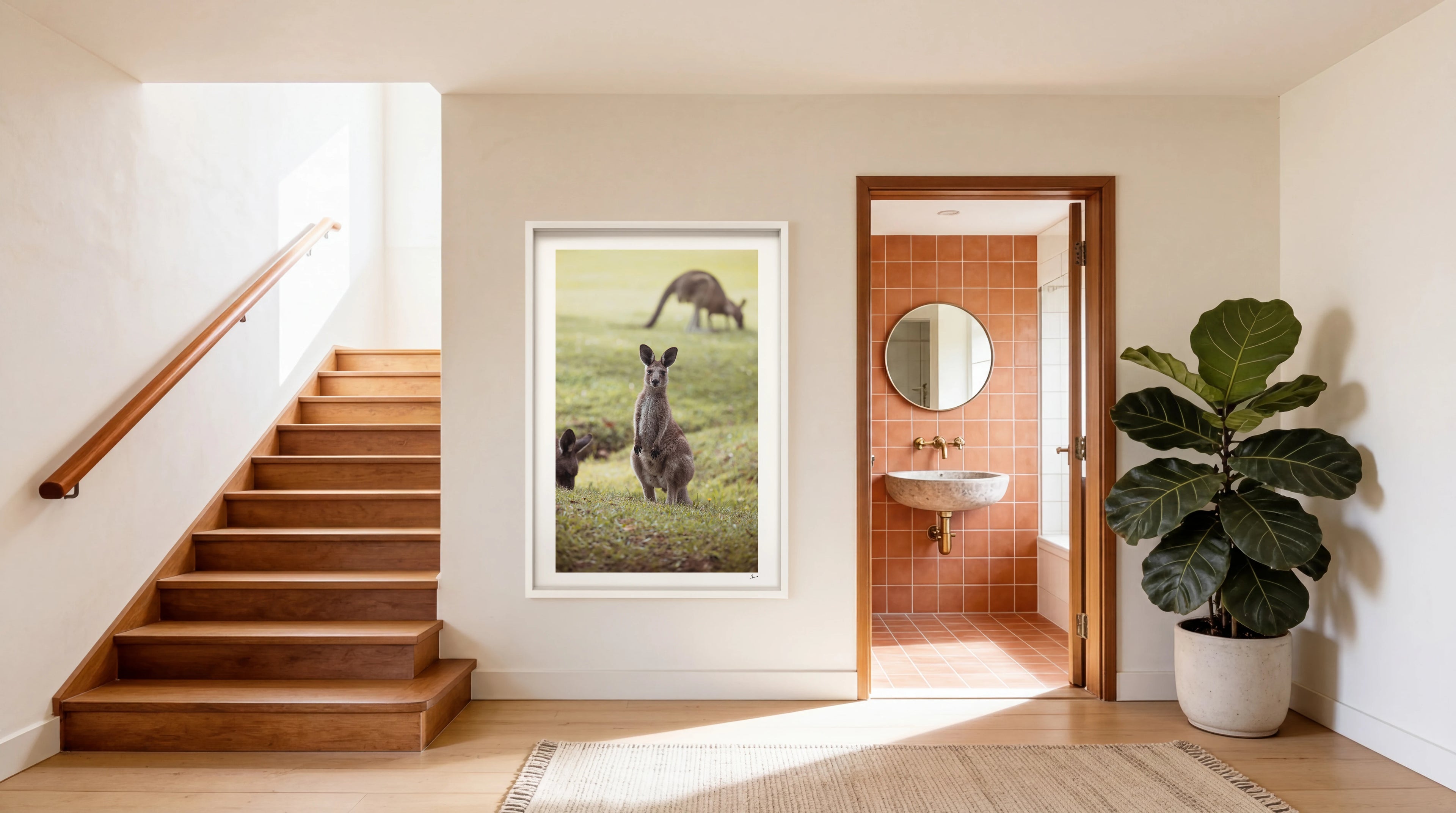 Kangaroos 02 (South West Rocks, NSW) - Wall Art Print