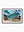 South Curl Curl Pool 01 - Wall Art Print