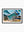 South Curl Curl Pool 01 - Wall Art Print