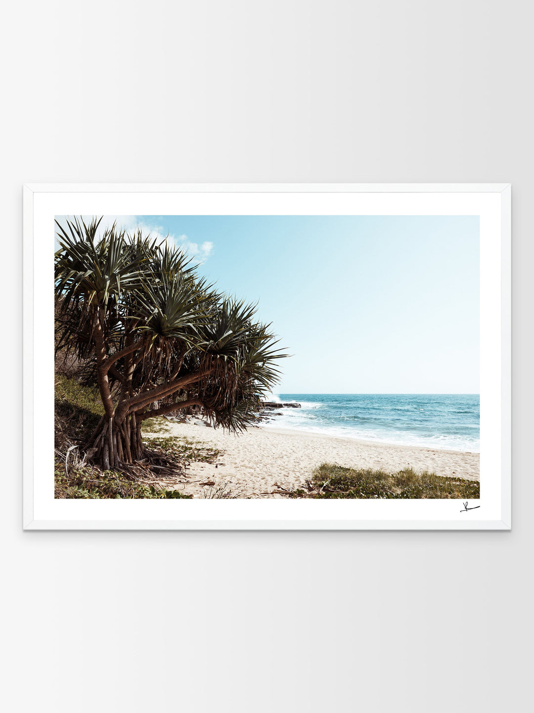 Angourie Point Beach - Wall Art Print - Australia Unseen